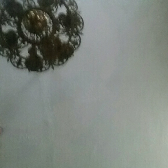 Meet your Posher, Sookie - Picture 1 of 1